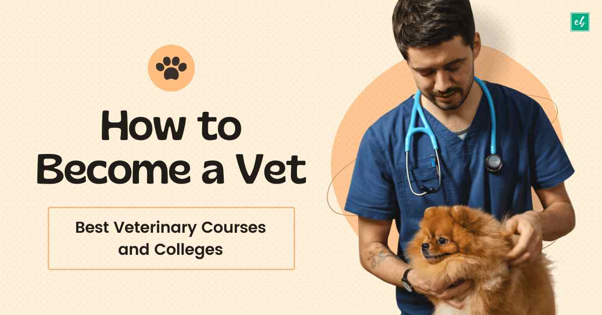 How to a Vet Best Veterinary Courses and Colleges