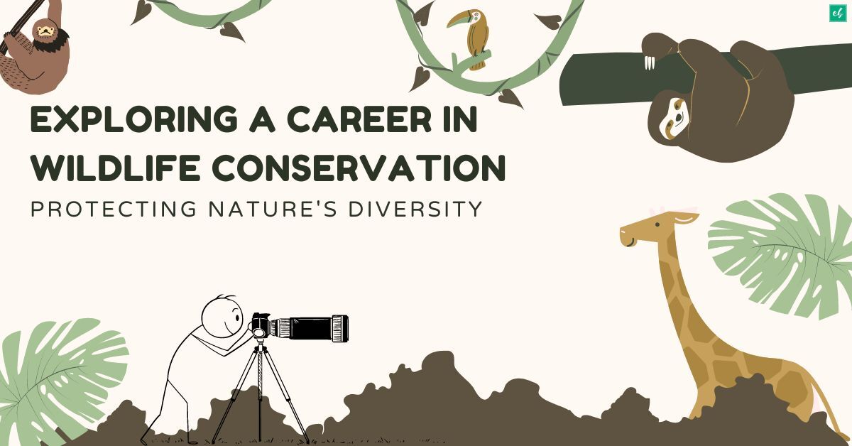 Exploring a Career in Wildlife Conservation Protecting Nature's Diversity